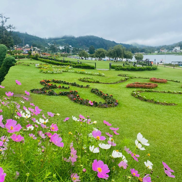 nuwaraeliya3.jpg
